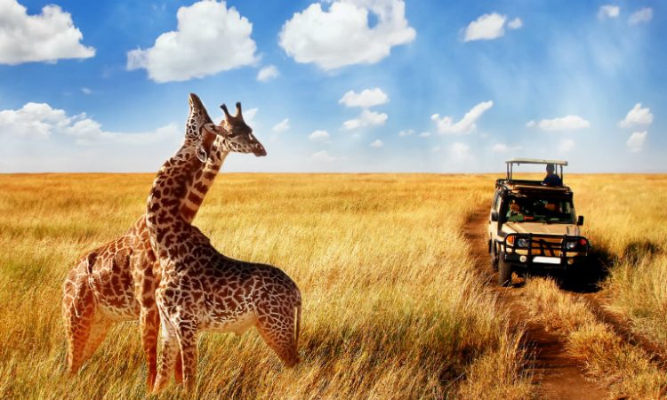 5 Reasons To Choose a Luxury Tanzania Safari